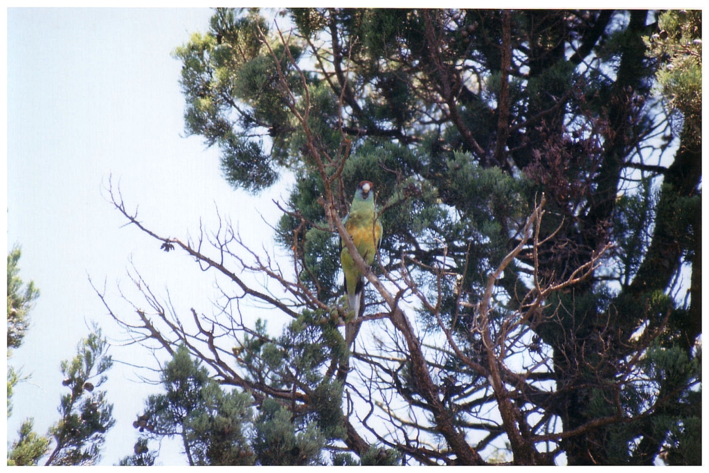 03 - The Flinders Ranges (16).jpg